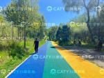 Environmental Performance Rubber Athletic Race Track Hybrid Seamless Surface