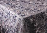 51'' Embroidered Mesh Lace Polyester Tulle Fabric Anti - pilling Wear -