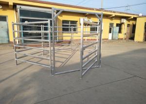 Wholesale Australia Standard Steel Cattle Fence , Galvanized Horse Fence Panels With 5 / 6 Rail from china suppliers