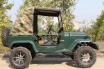 300CC 4 wheeler UTVs Gas 2 Seats UTV 4x4 Buggy car moto Quad bike off road