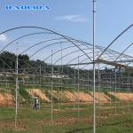 Dome Roof Structure Strong Plastic Greenhouse With Inside Shading System