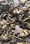 Thai Black Ginger Extract 5%-10% 5,7-Dimethoxyflavone powder