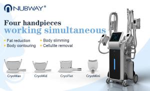 China Cryotherapy fat reduction Cryolipolysis cool shaping body sculpting machine on sale