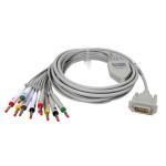 12-Channel ECG Machine Spare Parts Tinned Copper Medical For ECG Patient Cable
