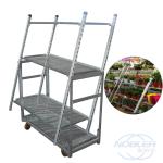 Greenhouse Garden Dc Container Transport Dutch Danish Flower Trolley Nursery