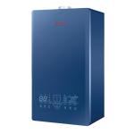 Golden Gas Hot Water Heaters Gas Wall Mounted Heater Copper Heating Transfer