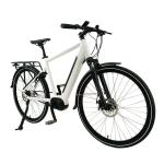 DOMANCA 36V 7 Speed Electric Bike Lithium Battery and 26 Inch Road City Design