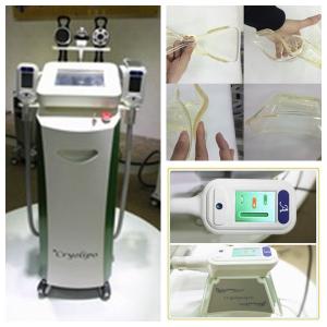 Wholesale 2016 latest professional cool tech fat freezing slimming cryolipolysie machine for sale from china suppliers