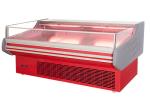Green Health Large Commercial Model A Fresh Meat Showcase Deep Freezer