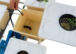 Stable High Productivity Hydroponics Dutch Buckets For Eggplants