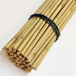 Wholesale Tonkin Bamboo Cane for Plants Grow Support Custom Size Bamboo Stick from china suppliers