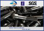 Railroad Track Bolts Fish Bolts hexagon head bolt for railway fastening system