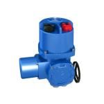 Replace Belimo/Bernard High Speed Intelligent Quarter Turn Electric Control