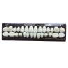 Buy cheap Material Dental Acrylic Resin Teeth Tooth Colored Acrylic Resin Teeth For from wholesalers