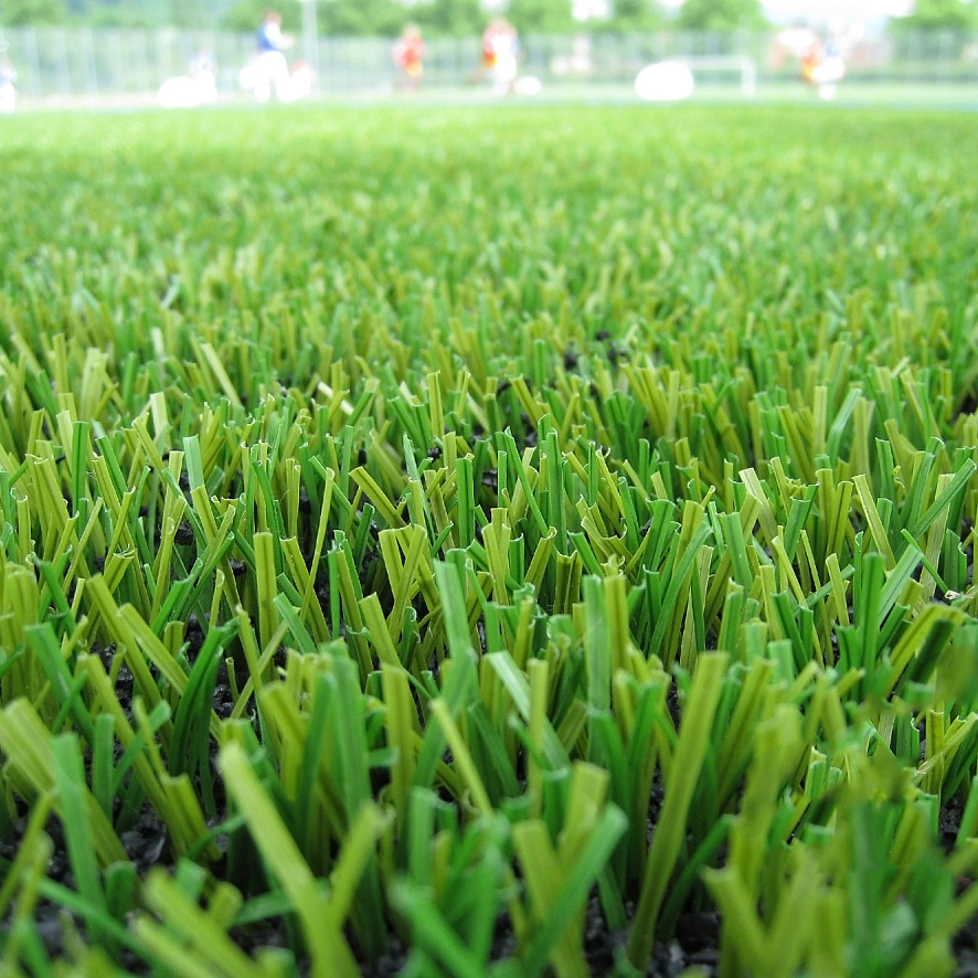 16800 Needle Artificial synthetic Turf Fadeless No Infill Football Grass