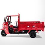 High Payload Capacity ≥400kg 1000W Tricycle 200cc Cargo Motorcycle Tricycle