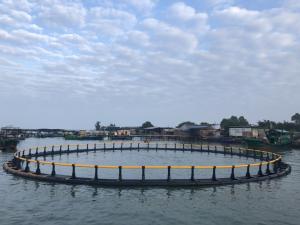 Wholesale Hdpe Circular Round 30m Floating Fish Cage from china suppliers