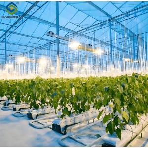 Wholesale High Yield Large Vertical Hydroponic Greenhouse Soilless Cultivation from china suppliers