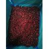 HACCP IQF Frozen Sweet And Delicious Wild Frozen Fruit for sale