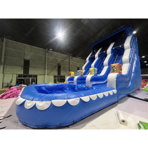 Amusement Park Outdoor Garden Big Kid Inflatable Double Water Slides For Teenagers Backyard
