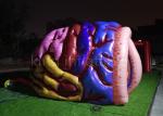 Exhibition Inflatable Simulation Human Brain Model For Medical Show