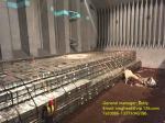 High corrosion resistance TFS Steel Sheet