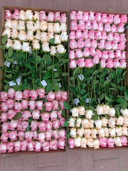 Best sell Wedding Decorative PU Real Touch Tulip Rose Flowers Tulips Artificial
