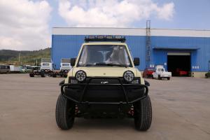 China Auto New Energy Electric Vehicle Off-Road Pickup LFP Battery Four Wheel Drive 2 Seats on sale