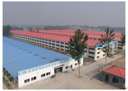 Self - Tapping Screw Poultry Farm Structure Colored Steel Sheet