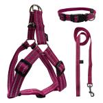 Custom Luxury Logo Dog Harness Lead Set Green Retractable Dog Leash