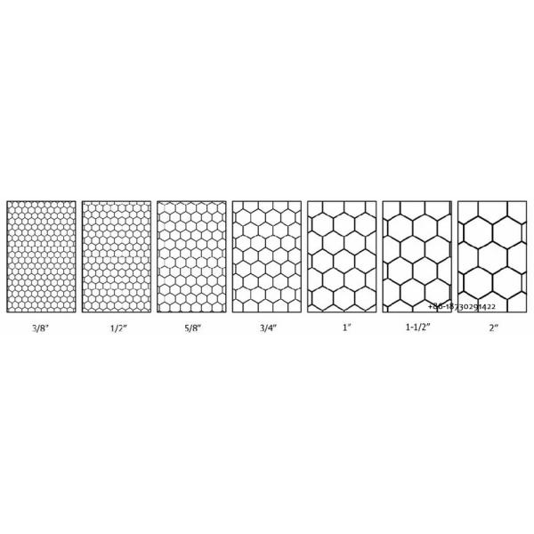 Chicken Wire Mesh for Poultry Netting/ Hexagonal Wire Netting