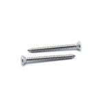 Inox Torx Self Tapping Screws Oval Head Star Drive A4 SS AISI 316 Stainless