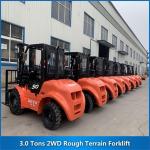 3 Tons 2WD Diesel RT Forklift FD30-S 3000KG