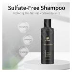 Natural OEM Tea Tree Hair Shampoo Hair Care Set