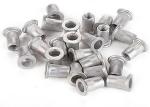 M14 M16 Stainless Steel SS304 SUS 304 316 Small Flat Head Serrated Rivet Nuts