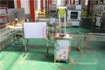 Plastic Bottle Filling And Sealing Machine Sauce And Water Bottle Packaging