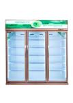 Luxury Vertical Glass Door Display Cooler For Beverage Dynamic Cooling