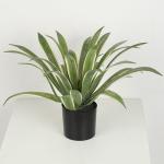 36 CM 40 CM 60 CM Artificial Agave Americana