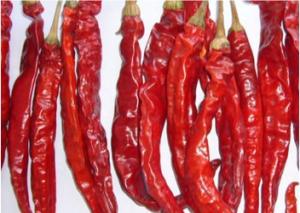Wholesale Stemless Erjingtiao Dried Chilis Sterilized Whole Chillies Pungent from china suppliers