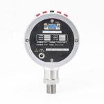 YZQ-120 Portable Intelligent Digital Pressure Calibrator 60mm 80mm 100mm 110mm