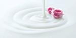High Shear Vacuum Homogenizer Emulsifying Mixer Machine For Cosmetic