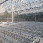 Industrial Flower Commercial High Tunnel Greenhouse With Fixed Roof Windows