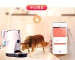 Timed Automatic Pet Feeder