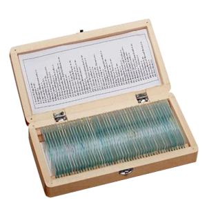 Wholesale Biology 50pcs Permanent Botany Slides Microscope In Wooden Box As Lab Equipment from china suppliers