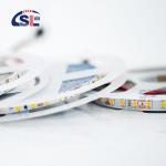 Long Lifespan 12V 24V Flexible SMD 2835 LED Strip Light for Home Decor 120D per