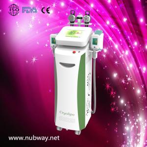 Wholesale Vertical amazing result cryolipolysis vacuum fat freezing to losing weight from china suppliers