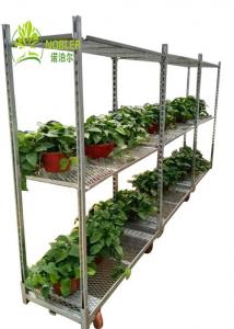 China Hot Galvanized Greenhouse Carts Flower Trolley Danish Trolley Racks on sale