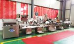 Electronic Counting Bottling Tablet Packing Machine