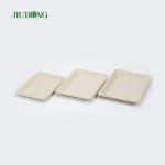 PLA Biodegradable Bagasse Tableware Dish Fast Food Serving Tray