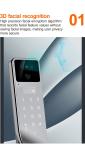 Hot selling black intelligent door lock with facial recognition and active